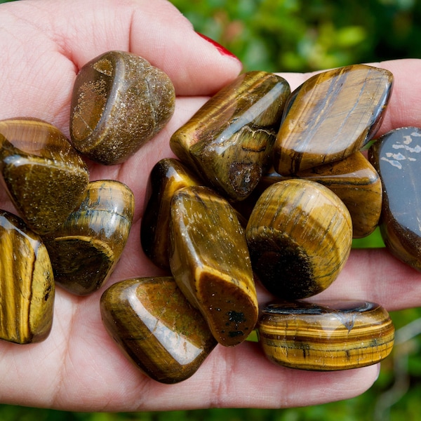 Golden Tigers Eye Tumbled Stone | Crystal Affirmation " I am able to adapt to the changes in my life with confidence."