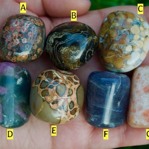 May include: Seven tumbled stones in various colors and patterns, including green, blue, brown, pink, and white. The stones are arranged in a row on a hand.