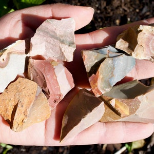 Può includere: Una collezione di frammenti di pietra irregolari e multicolori. Le pietre presentano una varietà di colori, tra cui sfumature di rosa, rosso, beige e grigio. I frammenti sono tenuti in una mano aperta, mostrando le loro trame e variazioni naturali.