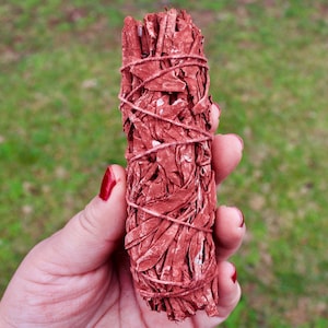Dragon's Blood Sage Smudge Bundle 4" | White Sage + Dragon's Blood Resin