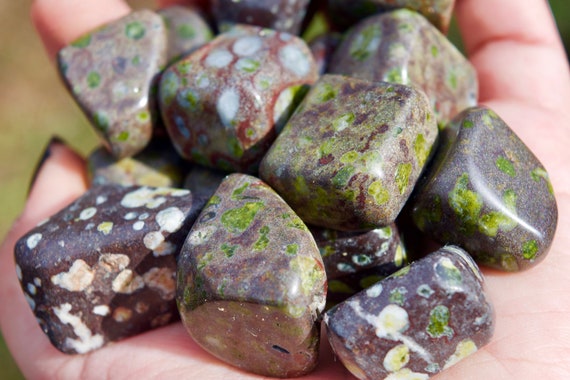 Green Epidote And Dragon Blood Included Tumbled Stone Epidote Etsy Green Epidote And Dragon Blood Included Tumbled Stone Epidote Etsy