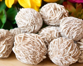 May include: A group of seven white, rose quartz selenite crystal formations. The crystals are clustered together and have a rough, textured surface.