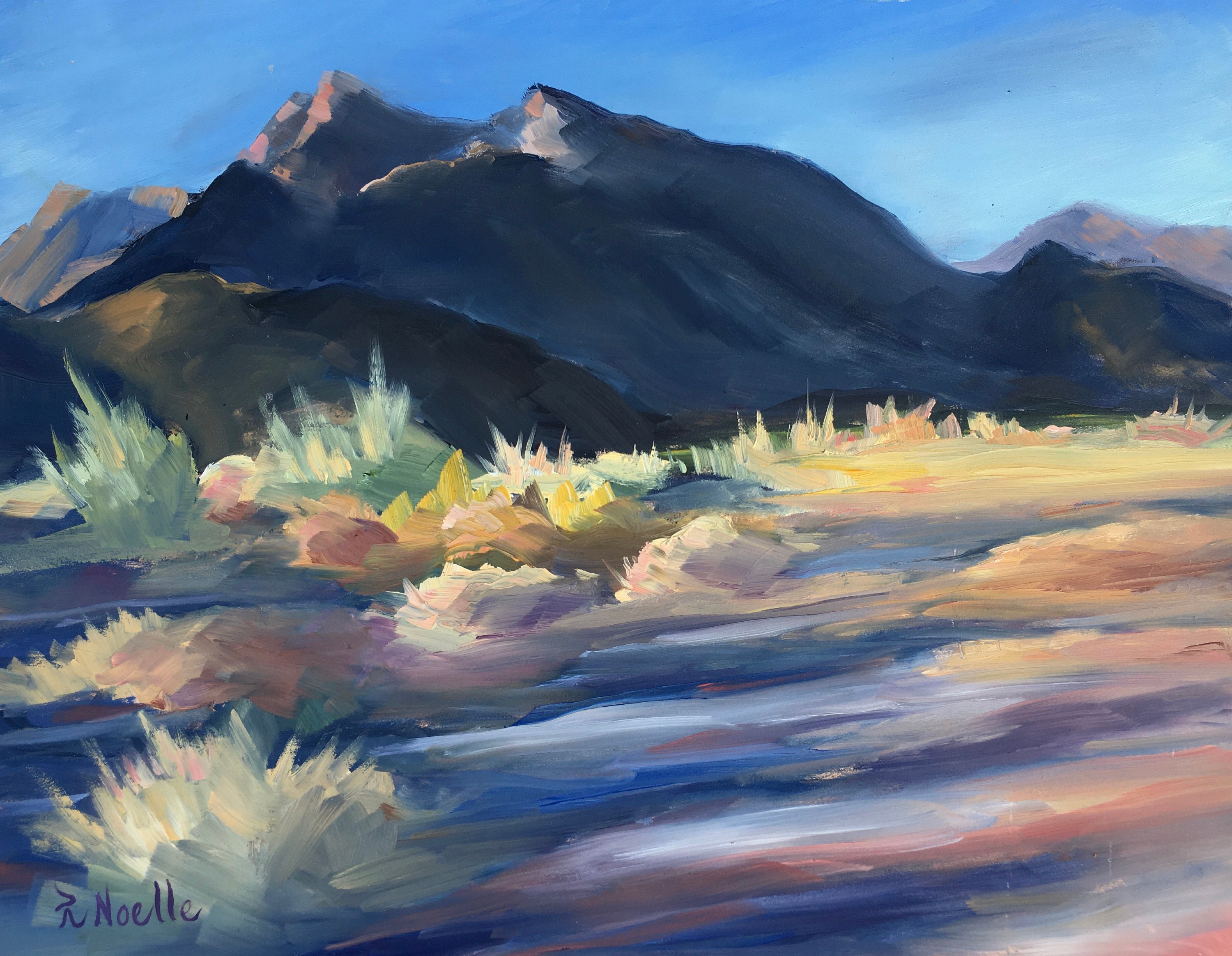 Anza Borrego Desert Original Oil Painting