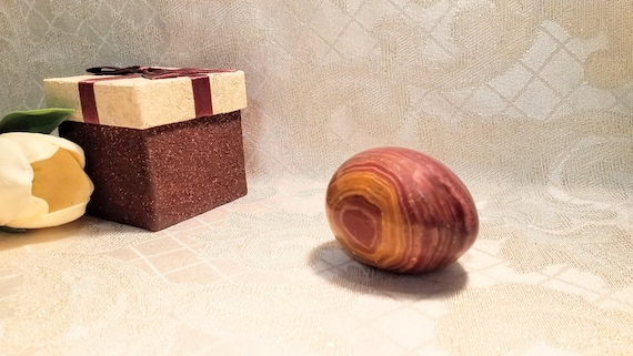 Petrified Wood Egg Shaped Stone Collectible Decor Decorative Presentation Box Included Great Gift Always FREE Domestic SHIPPING