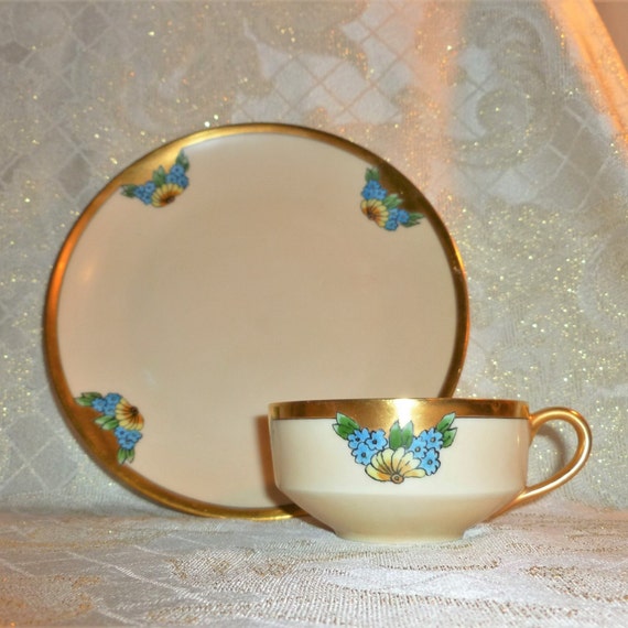 Thomas Cup And Saucer Made In Bavaria Germany Pretty Bone China Hallmarked Signed And Dated 1929 Beautiful Pattern FREE Domestic SHIPPING