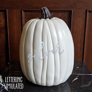 Craft pumpkin large 13x9 white cream image 6