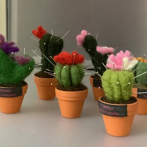 Könnte beinhalten: Sechs Filz-Kakteen in kleinen Terrakotta-Töpfen. Die Kakteen sind grün mit roten, rosa, lila und weißen Blüten. Jeder Kaktus hat Stecknadeln und ein Etikett am Topf. Die Töpfe sind klein und rund.