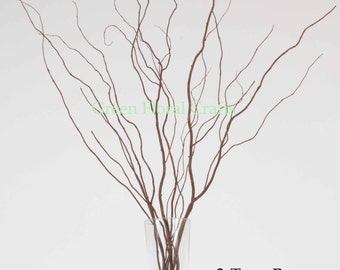 Curly Branches Etsy