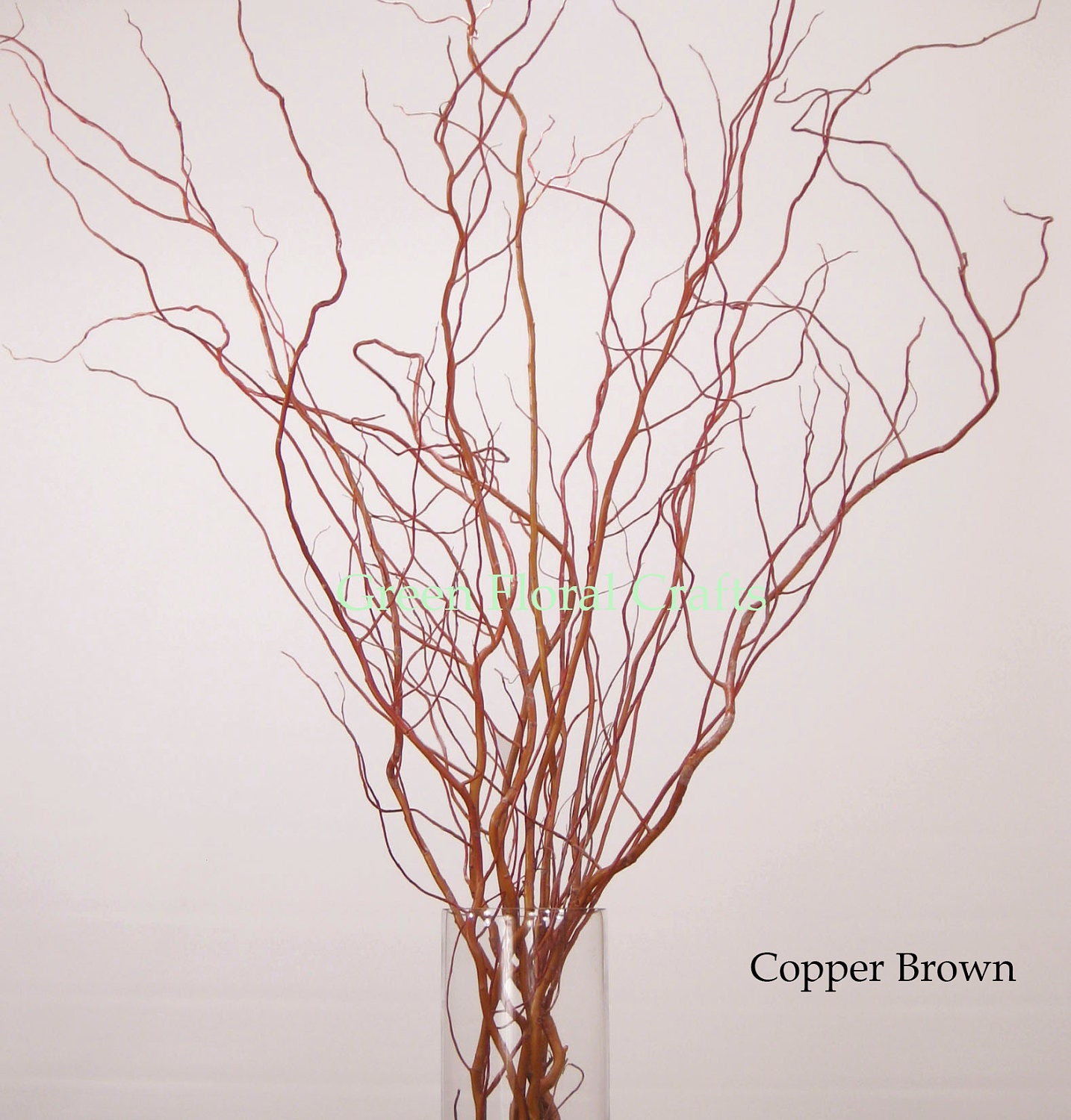 Curly Willow 56 ft Bunch of 810 Stems 4 Colors