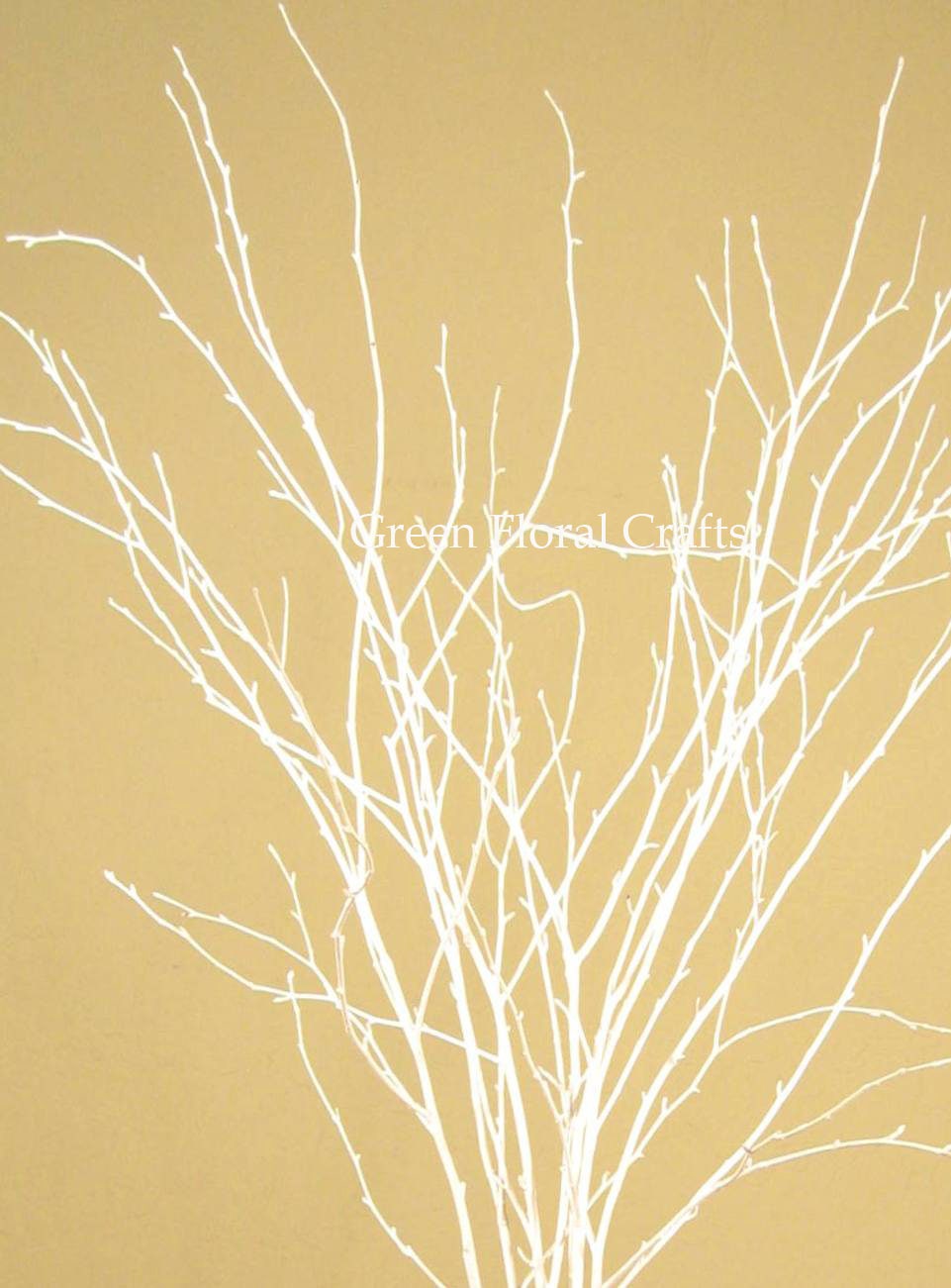 3 4 Ft Snowy White Birch Branches Bulk Pack 50 Stems Etsy