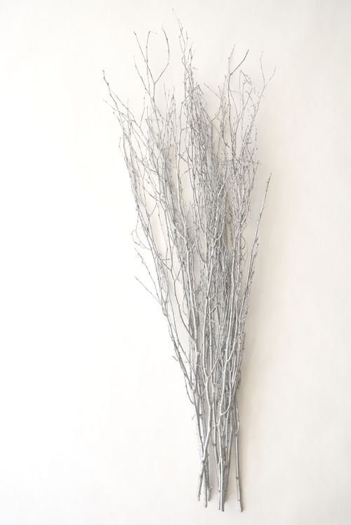 Decorative Birch Branches For Sale, Natural Birch Branches