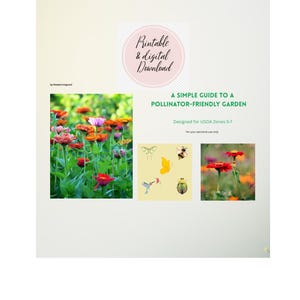 Guía sencilla para principiantes sobre cómo crear un jardín apto para polinizadores (PDF imprimible)