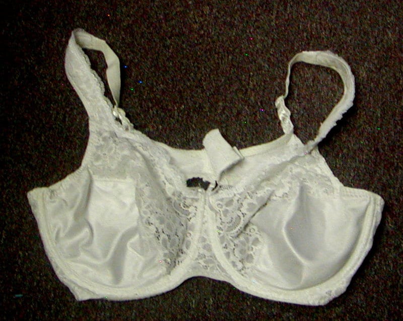 Vinatge New With Tags Playtex Secrets Floral Full Support Underwire Bra  Rose Quartz 48D 