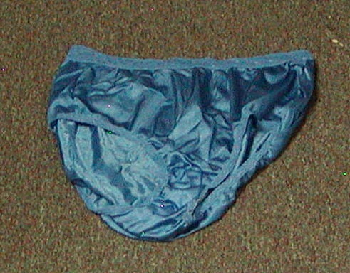 Vintage Fruit of the Loom Full Brief Nylon Panty With Lace Waist