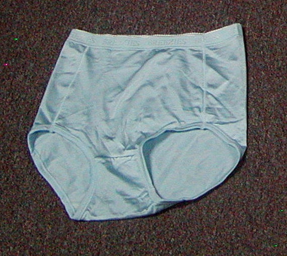 New Vintage Teri's Soft Touch Full Brief Nylon Panty Soft Blue -  Canada