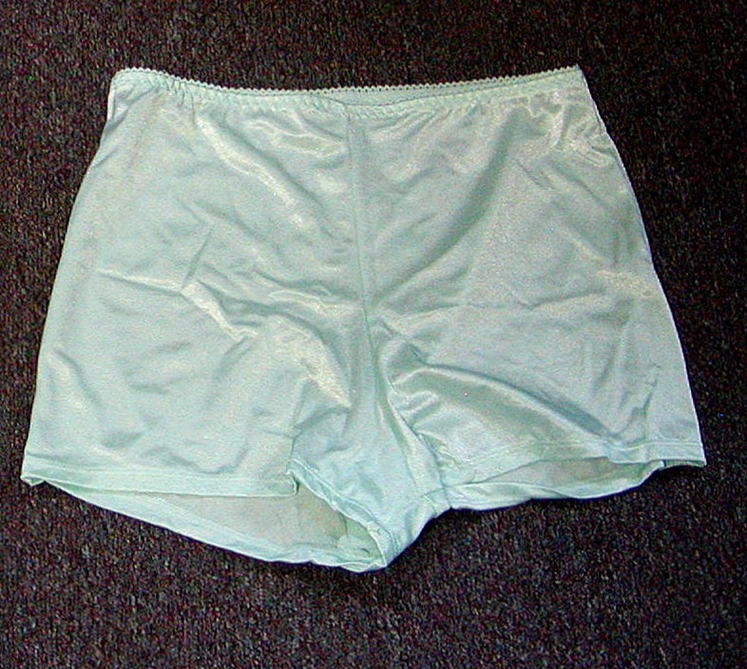 New Vintage Teri's Soft Touch Full Brief Nylon Panty Soft Blue 
