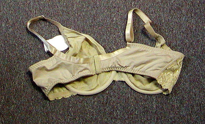 Vintage New Berlie's Avenue Body Embroidered Lace Full Figure Underwire Bra  Body Beige 42C 