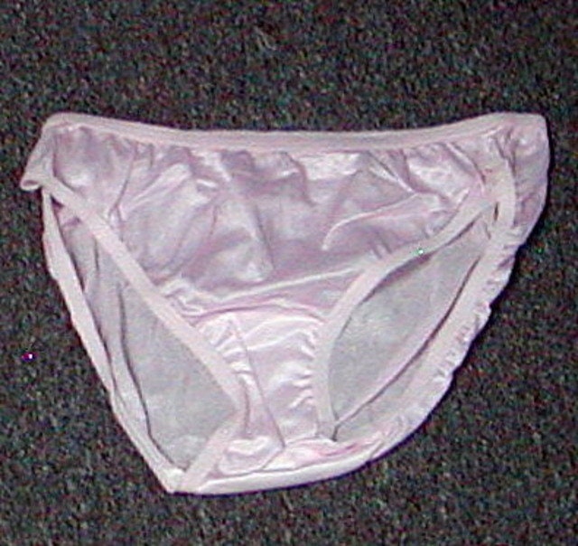 Vintage New Carole's Lace Waist Band Full Brief Nylon Panty Pale