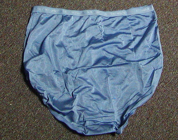 New Luxurious Comfort Choice 100% Nylon Full Coverage Brief Panty  Periwinkle Blue -  Canada