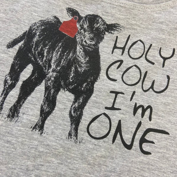 Holy cow I’m one Two Three Four Five Six Seven Birthday tshirt hoodie cow shirt farm shirt cattle ranch farmboy angus red angus highland