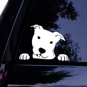 peeking pitbull decal sticker peek a