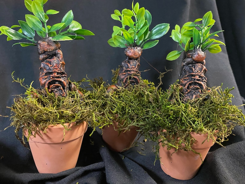 Small Mandrake H Potter Plant decor 