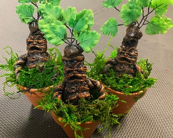 Large Mandrake Harry Potter Plant