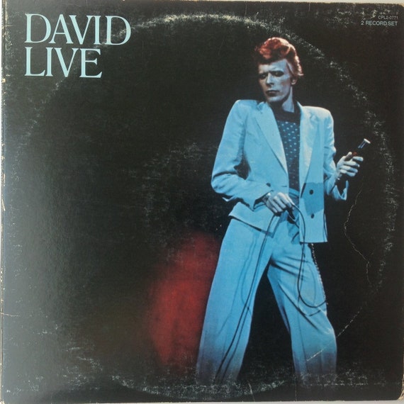 激レア！David Bowie Live in Tampa レコード David Bowie-david Live-original Double Record Album 1974 - Etsy