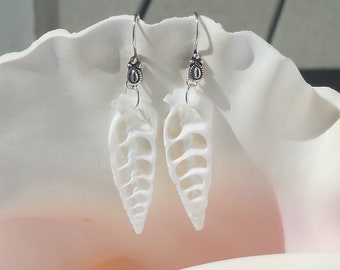 Turritella shell earrings