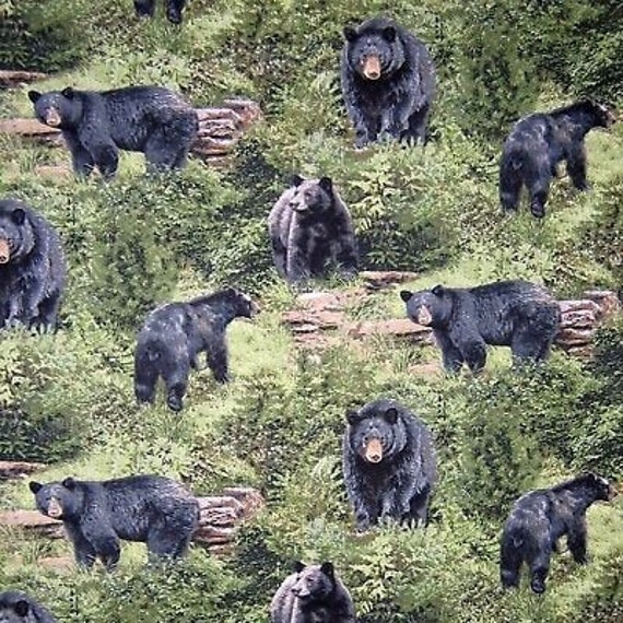 Black Bears Fabric 100 Quilt Shop Quality Cotton Sold by Etsy