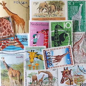 ENVÍO GRATIS; 15 JIRAFA diferentes sellos postales usados en todo el mundo para coleccionar, hacer manualidades, álbumes de recortes, collages, técnicas mixtas, etc.