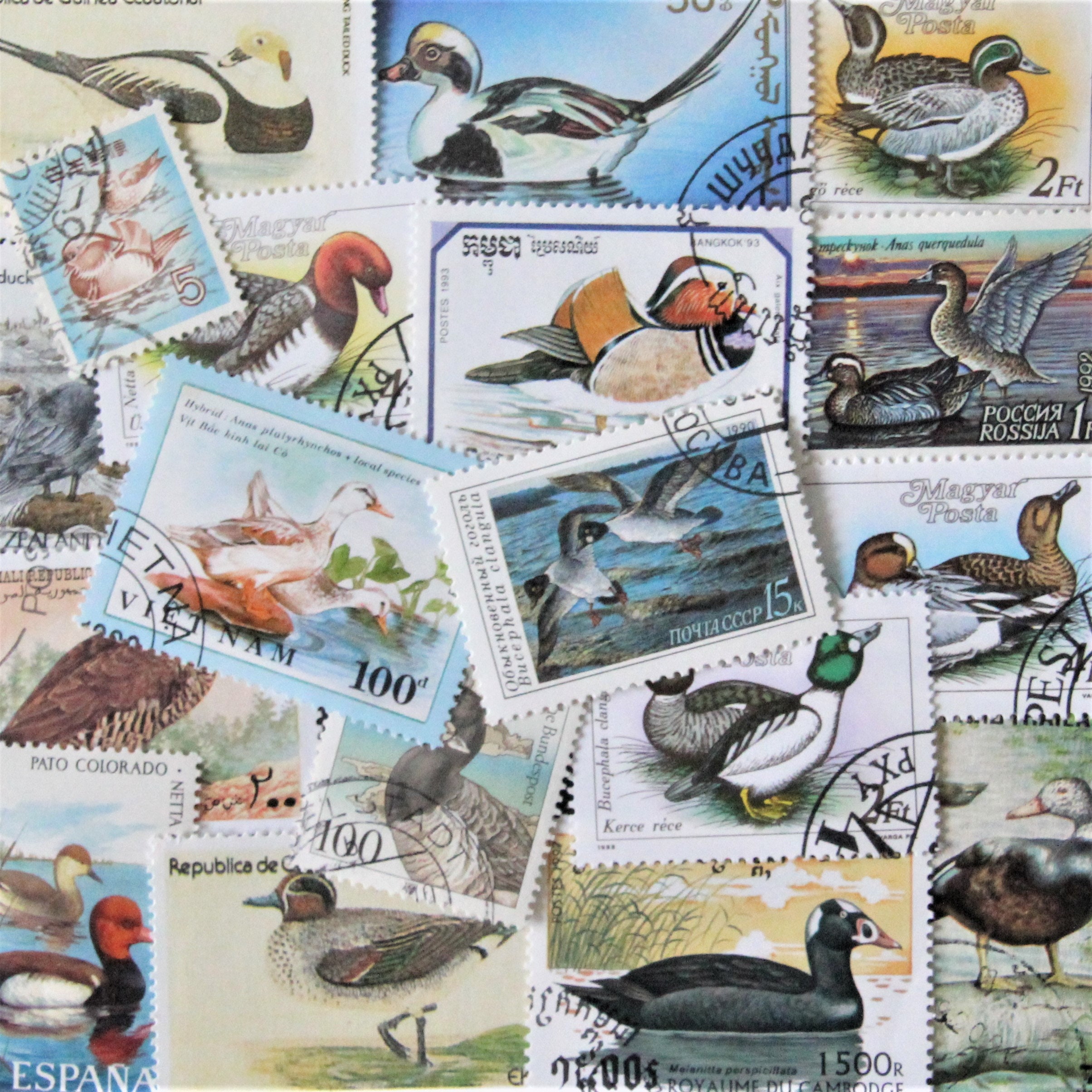FREE SHIPPING 25 different DUCKS postage stamps from various Etsy