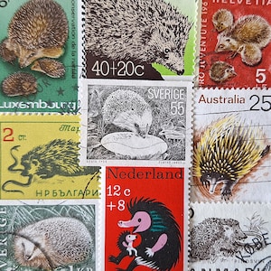 ENVÍO GRATIS; 10 ERIZO diferentes sellos postales antiguos de todo el mundo para coleccionar, hacer manualidades, álbumes de recortes, técnicas mixtas, etc.
