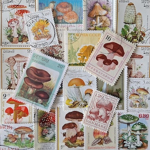 ENVÍO GRATIS; 30 HONGOS diferentes sellos postales de todo el mundo para coleccionar, hacer manualidades, álbumes de recortes, collages, técnicas mixtas, etc.