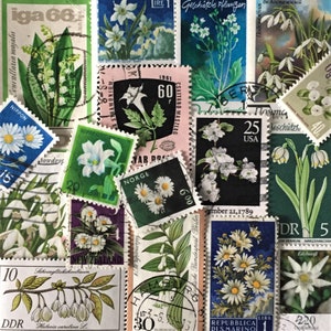 SPEDIZIONE GRATUITA ; 30 fiori BIANCHI vintage usati francobolli postali in tutto il mondo per collezionismo, pagine di album, collage ecc.