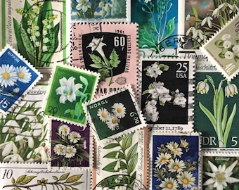 KOSTENLOSER VERSAND; 30 WEISSE Blumen Vintage gebraucht weltweit Briefmarken zum Sammeln, Scrapbook Seiten, Collagen etc.