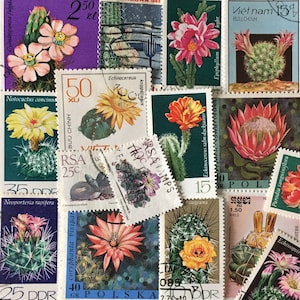 SPEDIZIONE GRATUITA; 30 francobolli CACTUS provenienti da tutto il mondo, adatti per collezionismo, bricolage, album, collage, tecniche miste ecc.