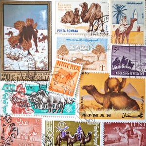 SPEDIZIONE GRATUITA; 15 francobolli diversi da tutto il mondo raffiguranti CAMMELLI/Dromedari, adatti per collezionismo, artigianato, scrapbooking, tecniche miste ecc.