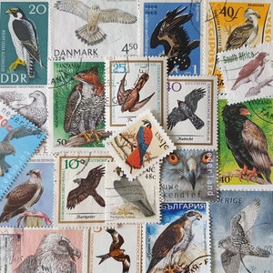 ENVÍO GRATIS ; 30 sellos postales diferentes de todo el mundo que representan aves rapaces para coleccionar, crear páginas de álbumes de recortes, técnicas mixtas, etc.