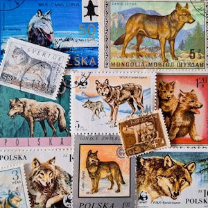 ENVÍO GRATIS; 12 sellos postales antiguos de todo el mundo de WOLF / Canis lupulus para coleccionar, hacer manualidades, álbumes de recortes, técnicas mixtas, etc.