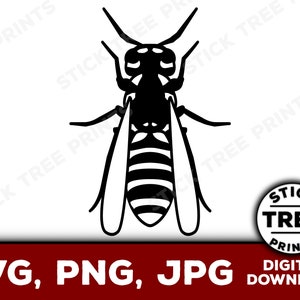 Wasp SVG - wasp png, wasp vector, wasp clip art, wasp cut file, bee svg, bees svg, cut file for cricut