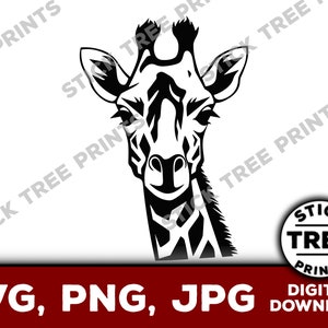 Giraffe SVG - giraffe png, giraffe vector, giraffe clip art, giraffe cut file for cricut