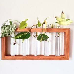 Station de propagation murale avec 5 tubes d’accessoires en plastique