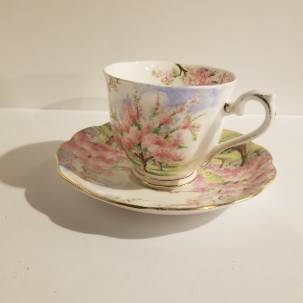 Royal Albert - Blossom Time Tea Cup & Saucer set England Bone China