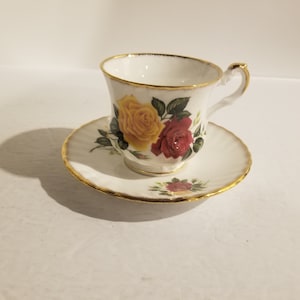 Rosina Bone China - Tea Cup and Saucer - Made In England