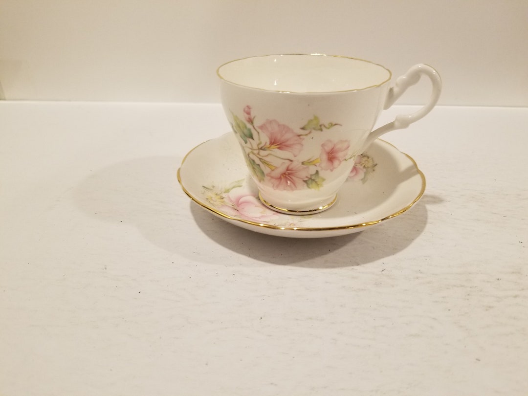 Royal Stuart Tea Cup and Saucer England Fine Bone China Etsy