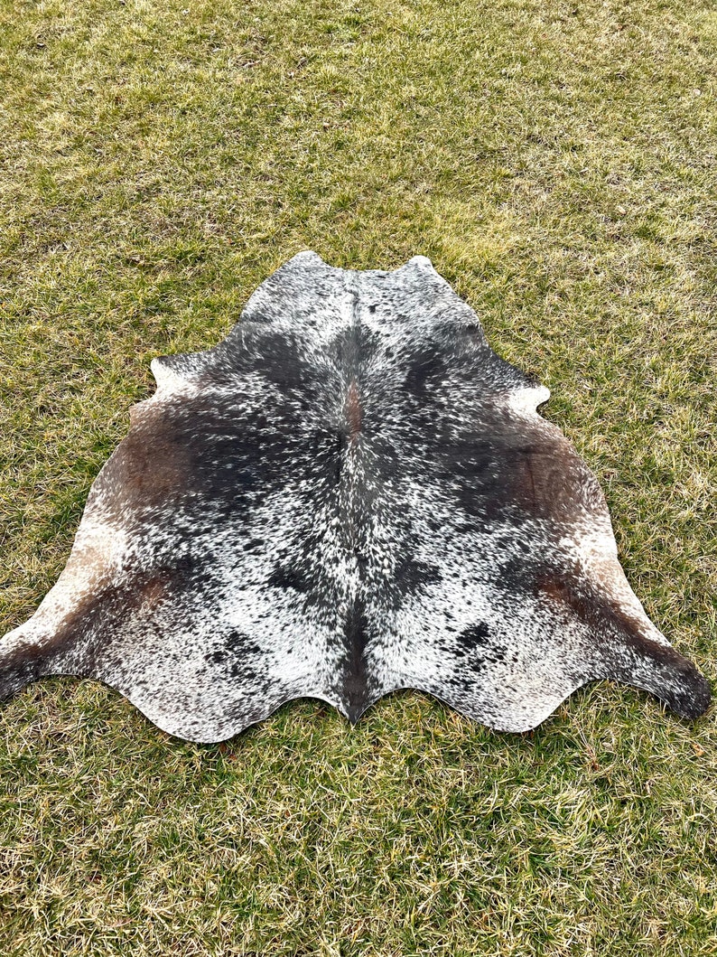 May include: A cowhide rug with a natural pattern of black, white, and brown spots. The rug is irregularly shaped, with a dark brown center and lighter edges. It is lying on a bed of green grass.