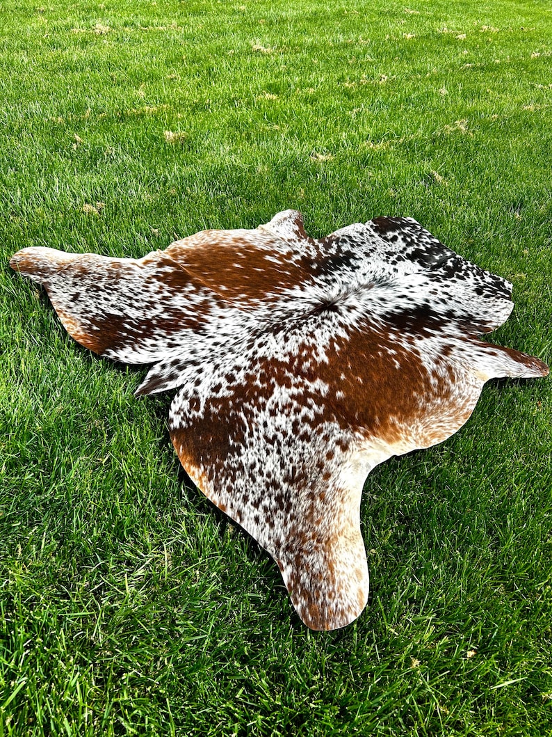 May include: A cowhide rug with a natural pattern of brown, white, and black spots. The rug is irregularly shaped and lies on a bed of green grass, showcasing its unique design and texture.