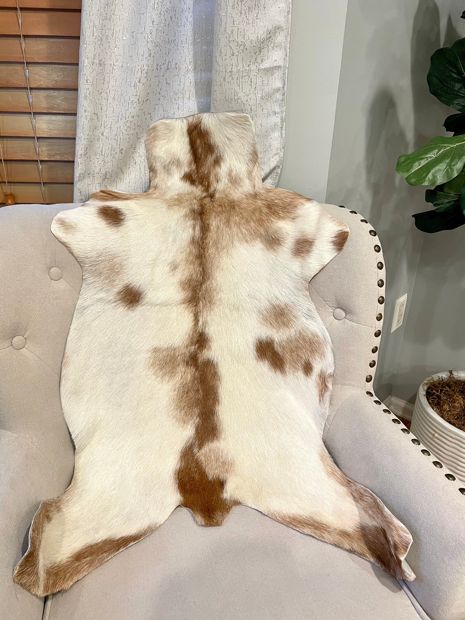 New Original Goat Rug Smooth and Shiny Goathide Rug Hide Etsy