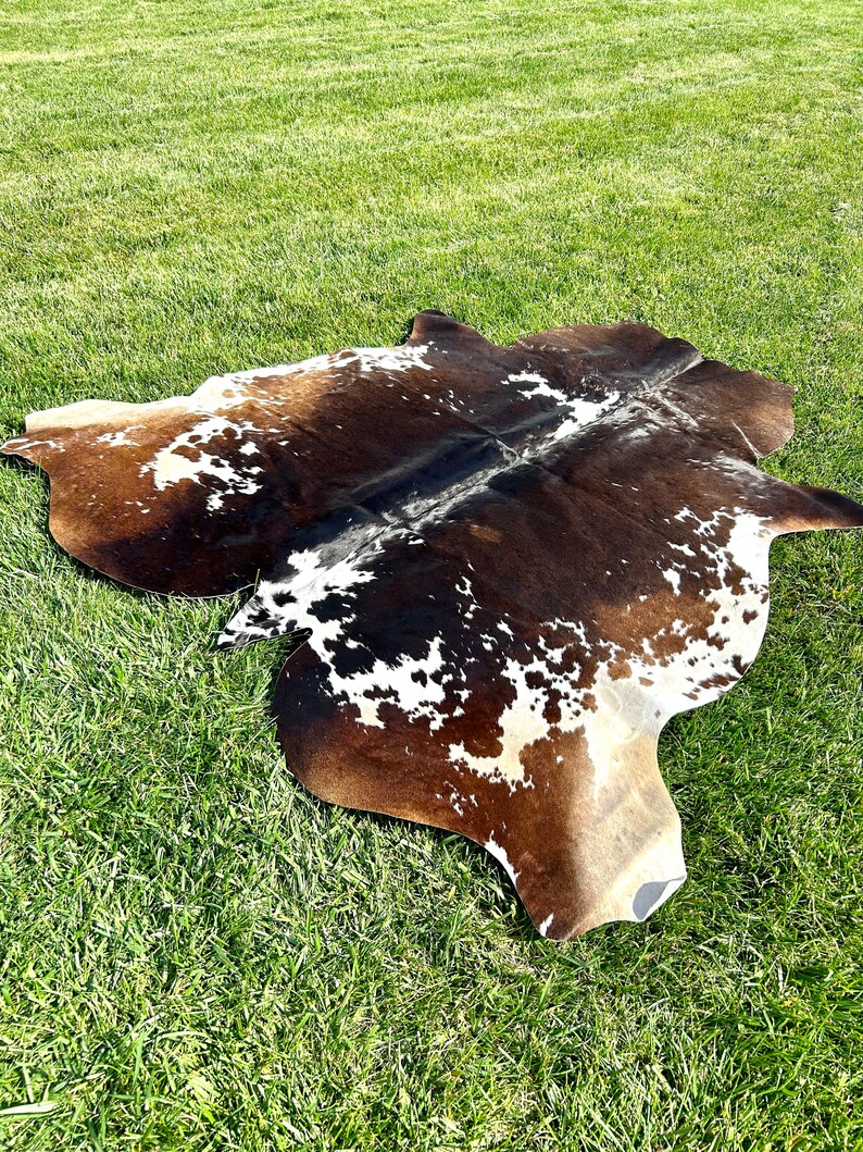 Pu&ograve; includere: Un tappeto di pelle di mucca marrone e bianco con una forma naturale irregolare. Il tappeto &egrave; steso su una superficie erbosa verde.